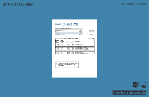 Chile Banco Bice Kontoauszug Excel-Beispielvorschau
